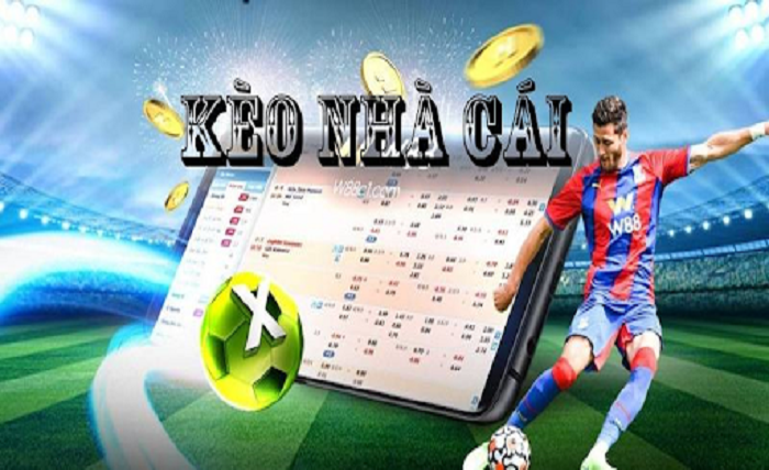 Bookmaker Odds