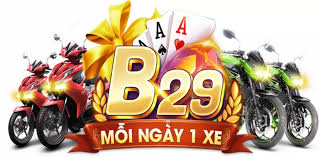 B29 Club