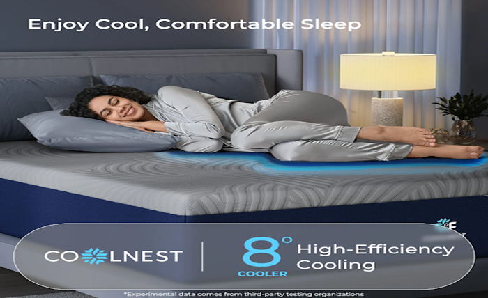 Adjustable Bed Frame